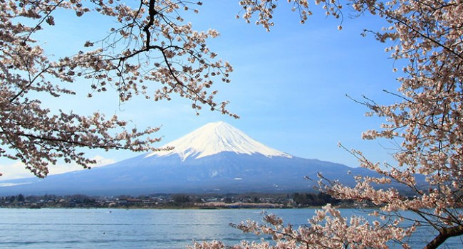 1-Day Fuji/Gotemba PremiumOutlets  & Lake Yamanaka Onsen