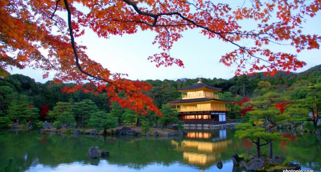 5-DAY JAPAN Combination Package